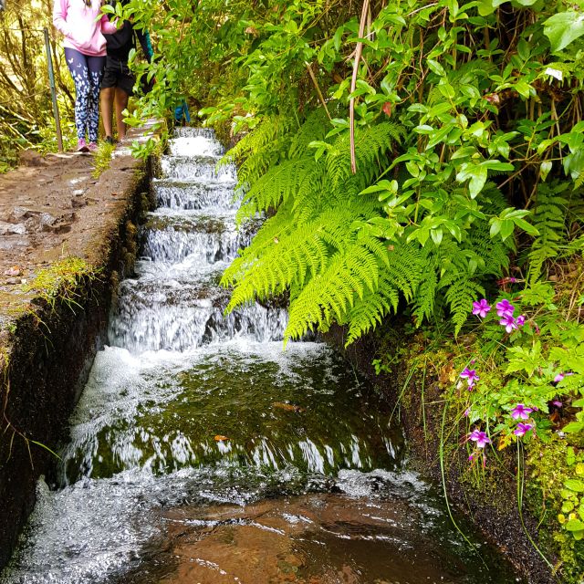 Small Group Walks Rabaçal 25 Fontes - Why the 25 Fontes walk is so popular