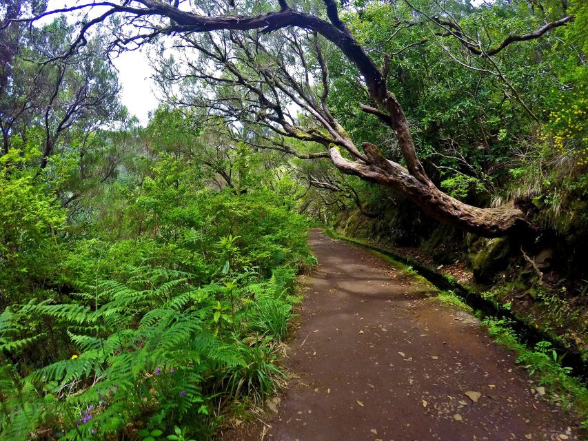 Small Group Walks Rabaçal 25 Fontes - The tunnel: dark, wet, and part of the fun