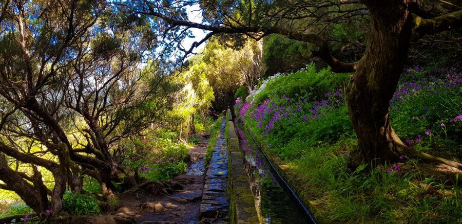 Small Group Walks Rabaçal 25 Fontes - Weather, crowds, and what to pack