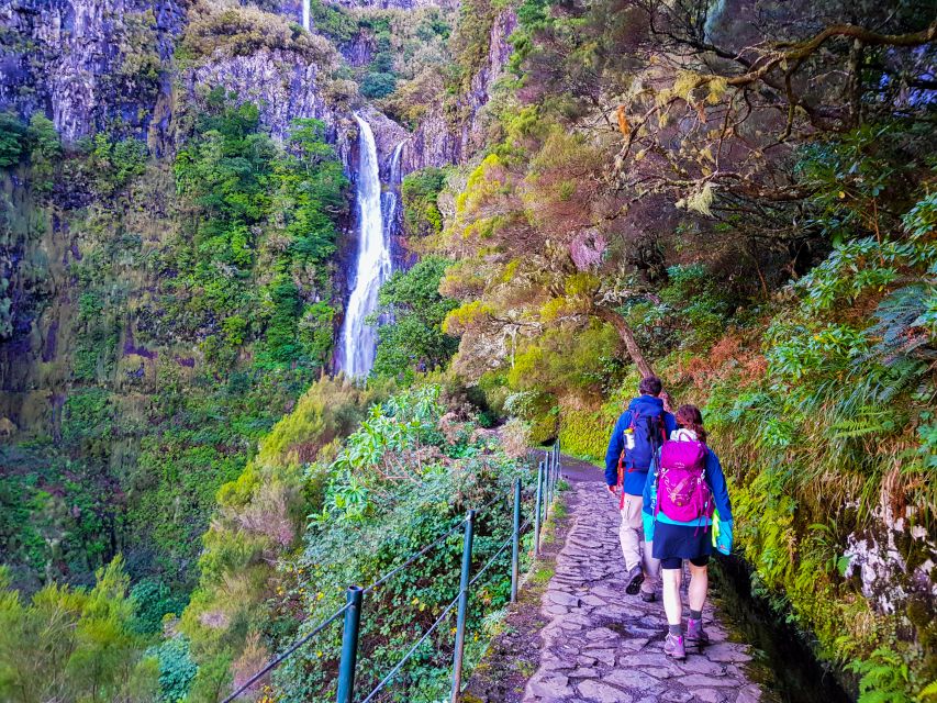 Small Group Walks Rabaçal 25 Fontes - Pickup from Funchal, Caniço, Santa Cruz, or Machico
