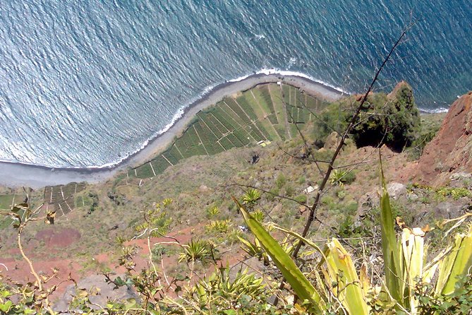 Small Group West Tour Waterfalls & Fanal Forest Tour - Ribeira Brava shows the island’s softer side