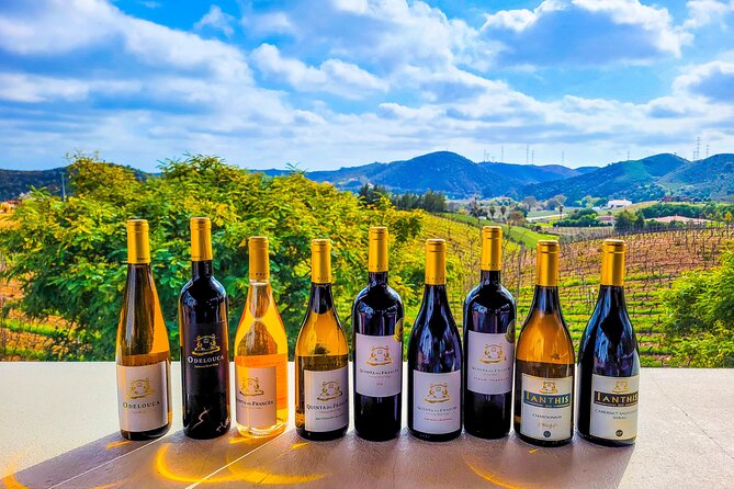 Small group Wine Tasting Tour from Lagos - Silves: one hour among Moorish walls and orange-colored roofs
