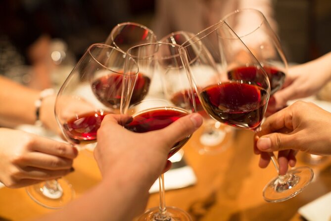 Small group Wine Tasting Tour from Lagos - Guides make the difference