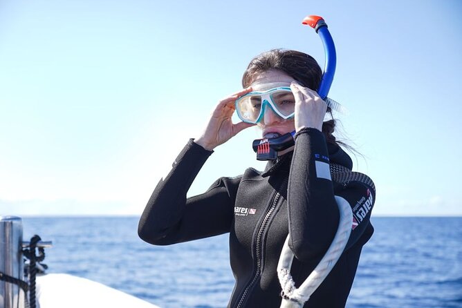 Snorkelling Trip at Ponta de São Lourenço Protected Area - Wetsuits, Fins, and Included Gear