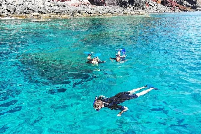 Snorkelling Trip at Ponta de São Lourenço Protected Area - Who Should Book This Madeira Snorkelling Trip?