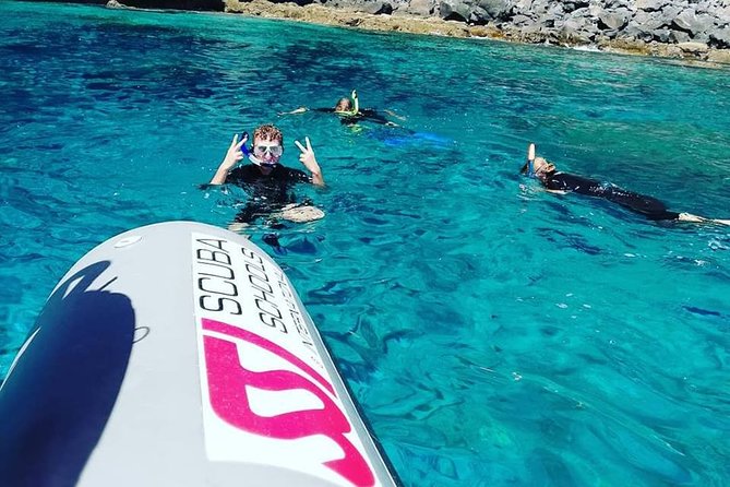 Snorkelling Trip at Ponta de São Lourenço Protected Area - How to Get the Best Outing