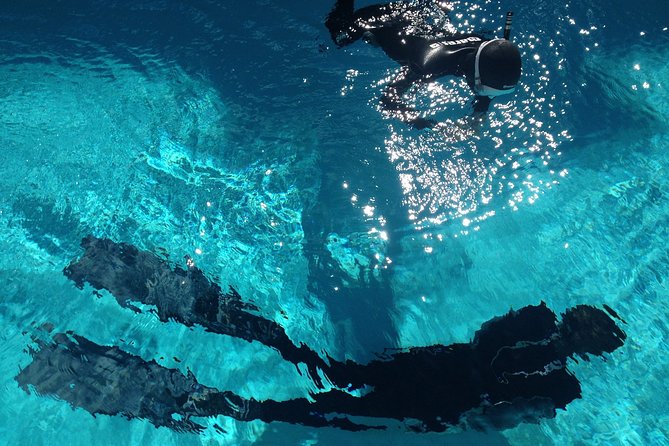 Snorkelling Trip at Ponta de São Lourenço Protected Area - Snorkelling Beside Volcanic Cliffs