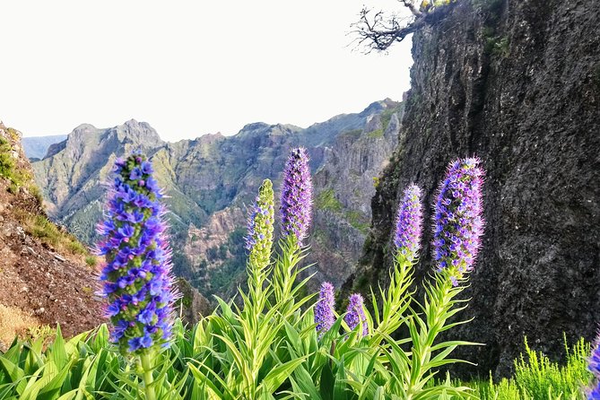Sunrise Guided Hike PR1 Pico do Areeiro Pico Ruivo small group - The early pickup from Funchal or Caniço