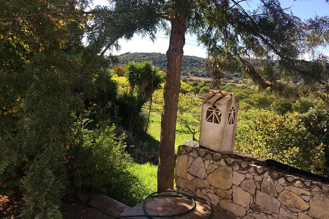 Sunset Safari - Cork trees and a high sunset point at Sarnadas