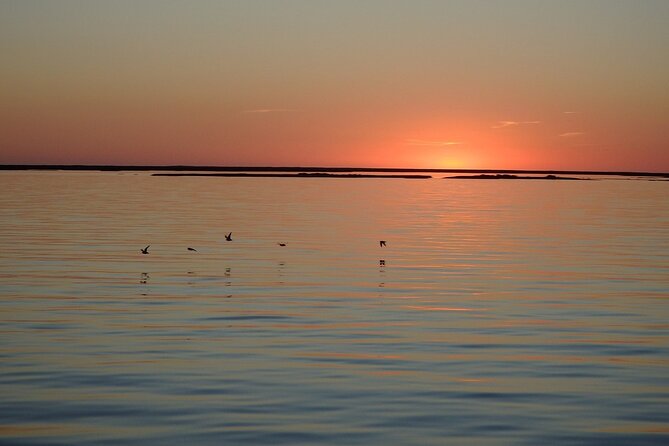 Sunset Tour | Ria Formosa - From Faro - What the one-hour schedule really means
