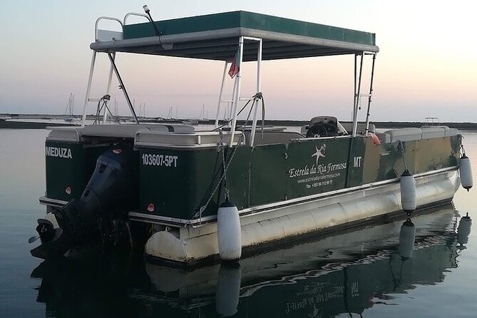 Sunset Tour | Ria Formosa - From Faro - Who will enjoy this Faro boat ride?