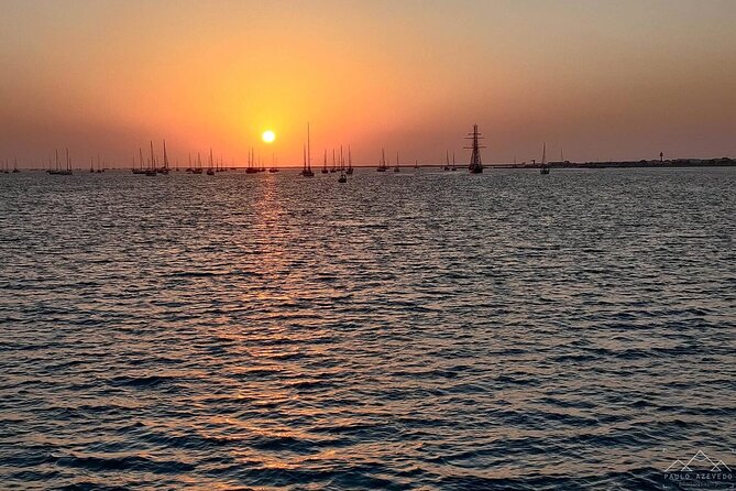 Sunset Tour | Ria Formosa - From Faro - Birdlife, marshes, and the value of binoculars