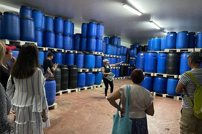 Tavira Olive Experience Factory Tour and Tasting - What this Tavira olive tour actually covers