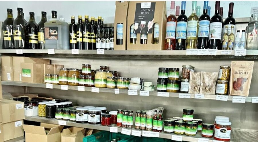 Tavira: Olive Factory Tour and Tasting - Andrea’s presentation and the family welcome