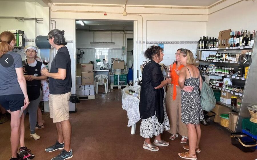 Tavira: Olive Factory Tour and Tasting - Who will enjoy this near Tavira?
