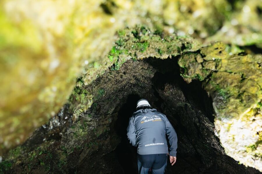 Terceira: Algar do Carvão Lava Caves Tour - Who should book this half-day outing