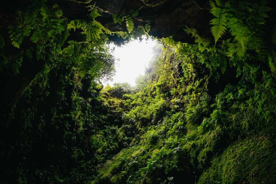 Terceira: Algar do Carvão Lava Caves Tour - Gruta do Natal and the story of moving lava