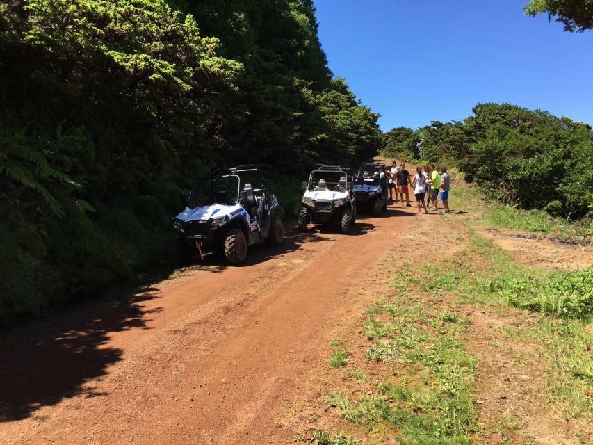 Terceira: Buggy Tour 4x4 West Side Azores Retreat - The views from Terceira’s western side