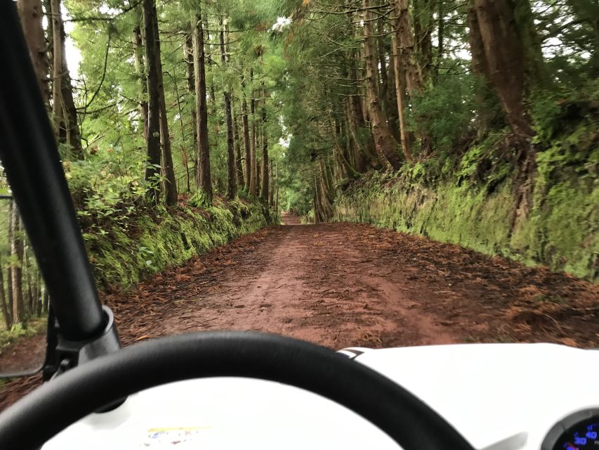 Terceira: Buggy Tour 4x4 West Side Azores Retreat - Is $200 fair for two people?
