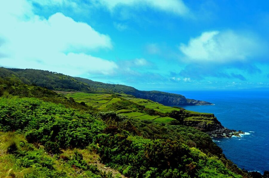 Terceira: Half-Day Island Tour with Cheese Tasting - Key points to know before booking