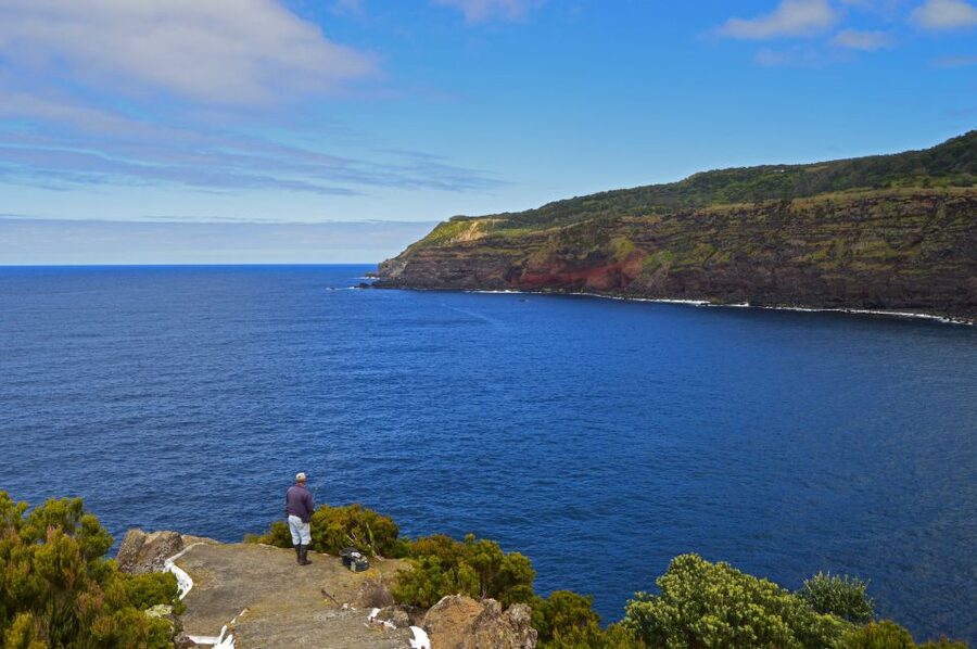 Terceira: Half-Day Island Tour with Cheese Tasting - What the $58 price buys you