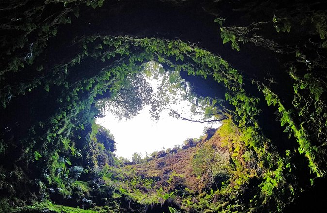 Terceira Island: Full Day Tour - What this full-day Terceira tour is really like
