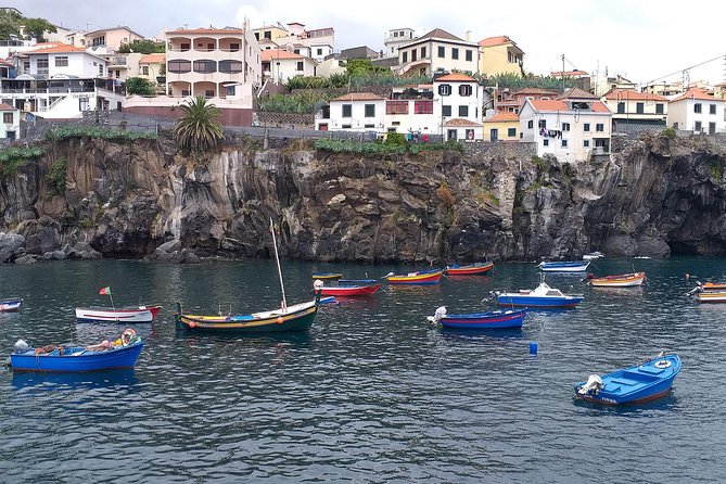 The best of the West of Madeira - Fanal Forest and the old laurel trees