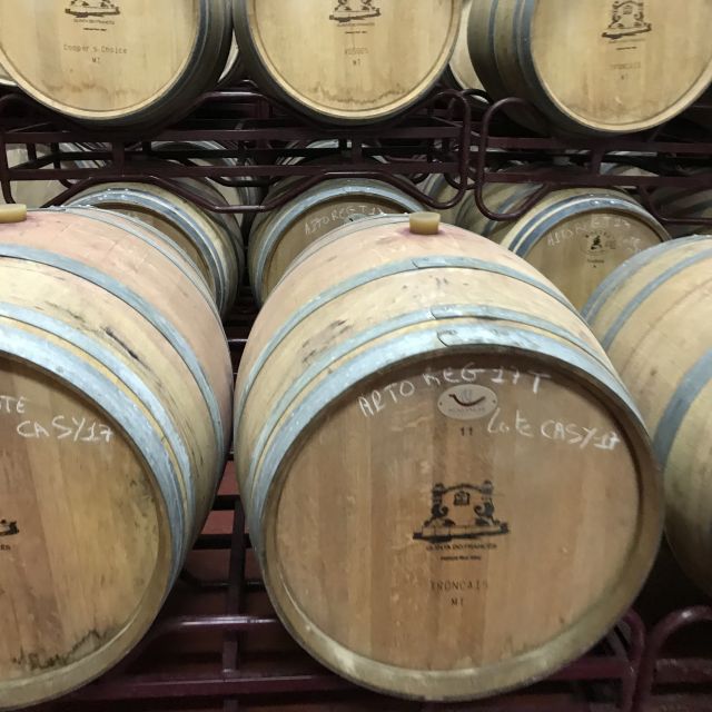 The Real Algarve: 2 Boutique Wineries & Silves Tour - Why the Day Feels Different From a Standard Wine Stop