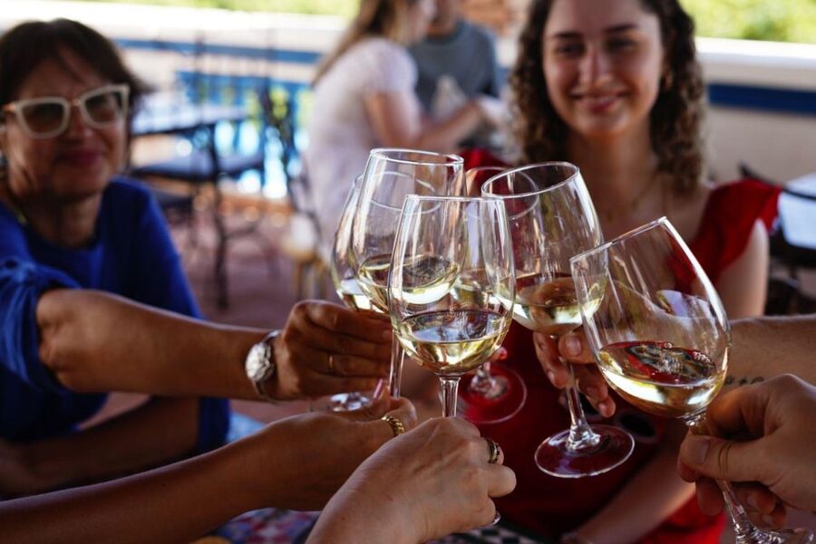 The Real Algarve: 2 Boutique Wineries & Silves Tour - How Much Value Do You Get for $106?