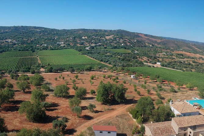 Tour & Wine tasting - Authentic Algarve Flavours by Quinta da Tôr - What happens during the 90-minute visit