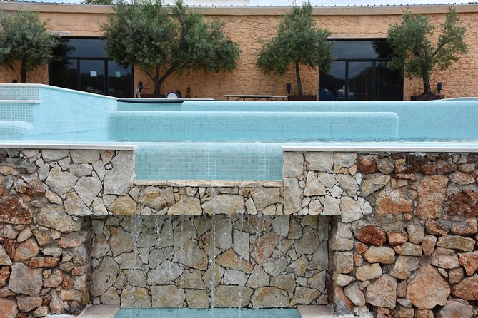 Tour & Wine tasting - Authentic Algarve Flavours by Quinta da Tôr - Why the guides matter so much