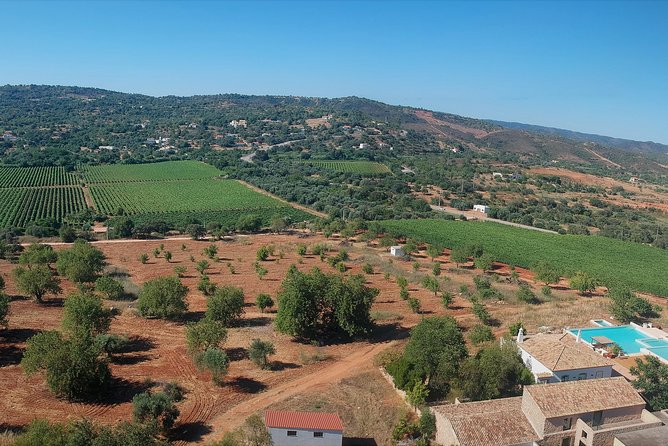 Tour & Wine tasting - Authentic Algarve Flavours by Quinta da Tôr - Is $24.20 good value?