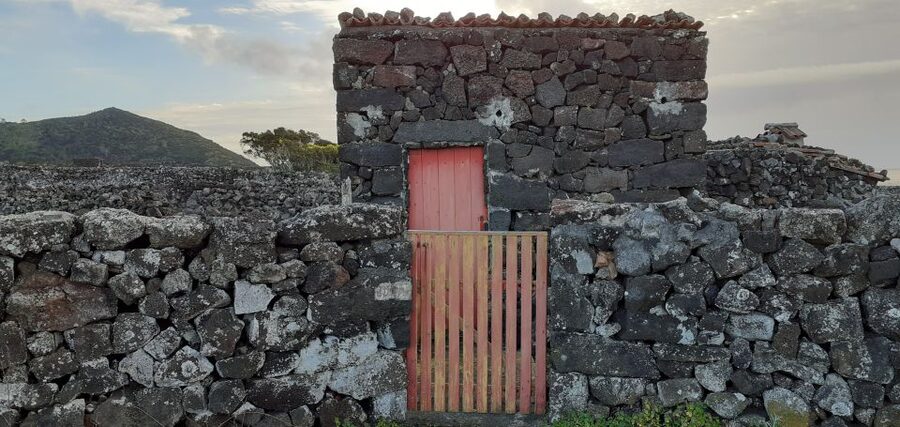 Tours on Pico Island - Cultural and Natural Landscape - Key points to know before booking