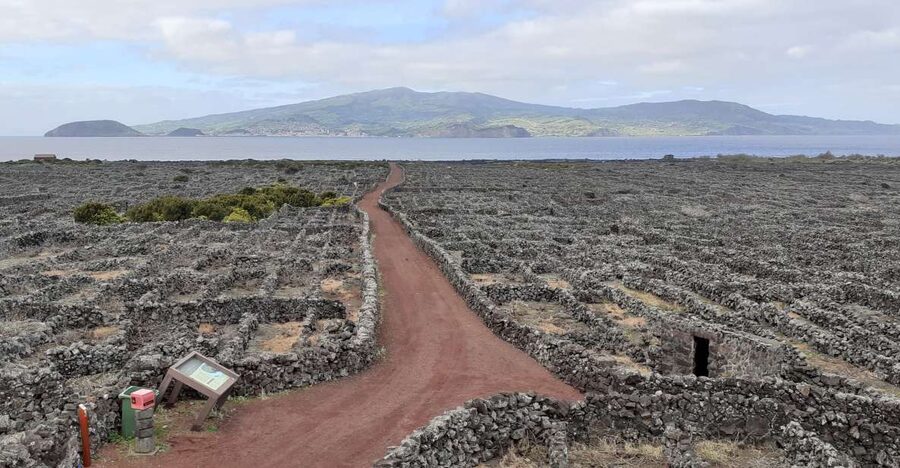 Tours on Pico Island - Cultural and Natural Landscape - Why this 8.5-hour Pico tour works well