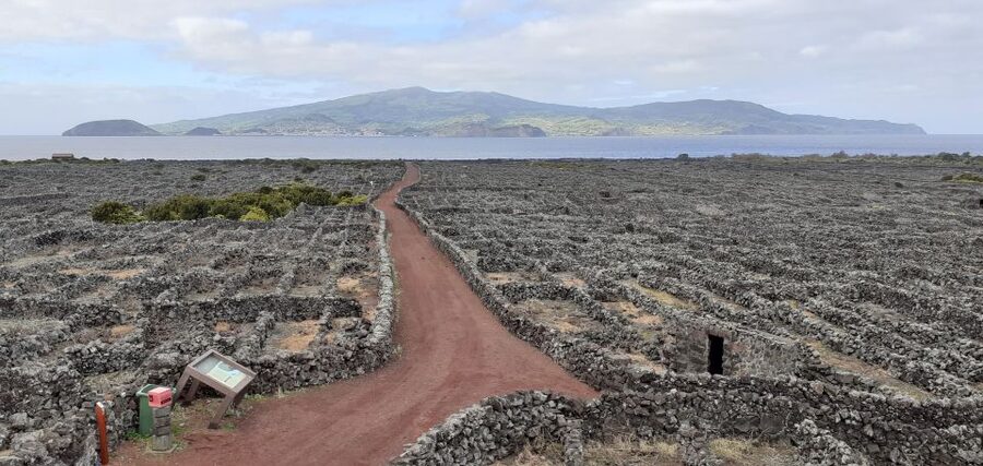 Tours on Pico Island - Cultural and Natural Landscape - Lagoa do Capitão and Pico’s interior