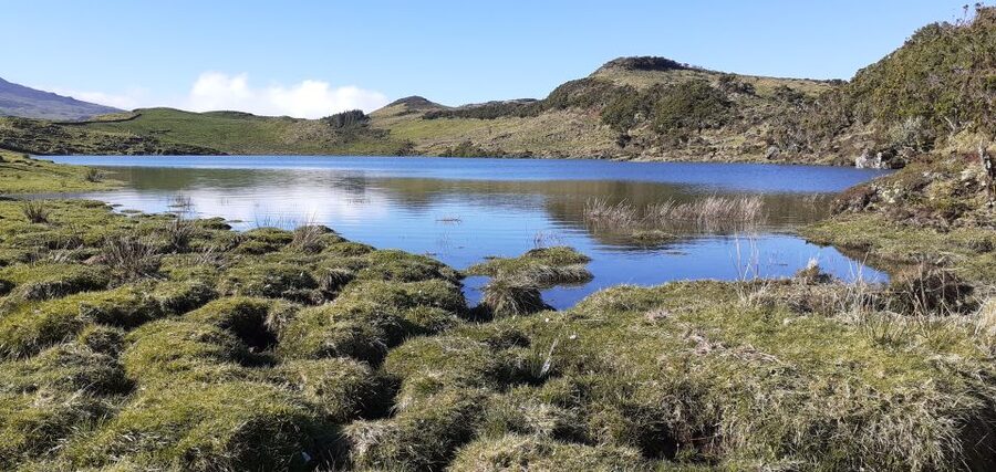 Tours on Pico Island - Cultural and Natural Landscape - A guide-led day instead of a rental car