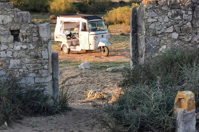 Tuk tuk Tour Tavira Total - 2h00 - Includes Tuna Museum and Fishing Village - Misericórdia Church and Tavira Castle
