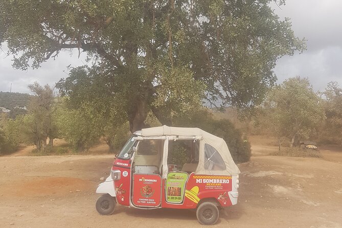 Tuk tuk tour- the best way to see coast and country side - Who will enjoy this ride most