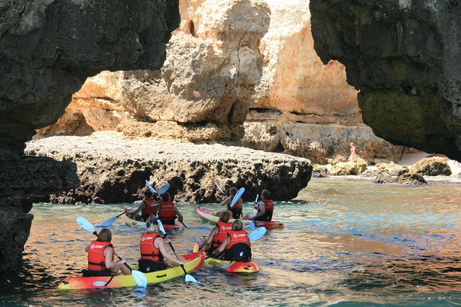 Unlock the Magic of Ponta da Piedade by Kayak – Lagos - Key Points Before You Book