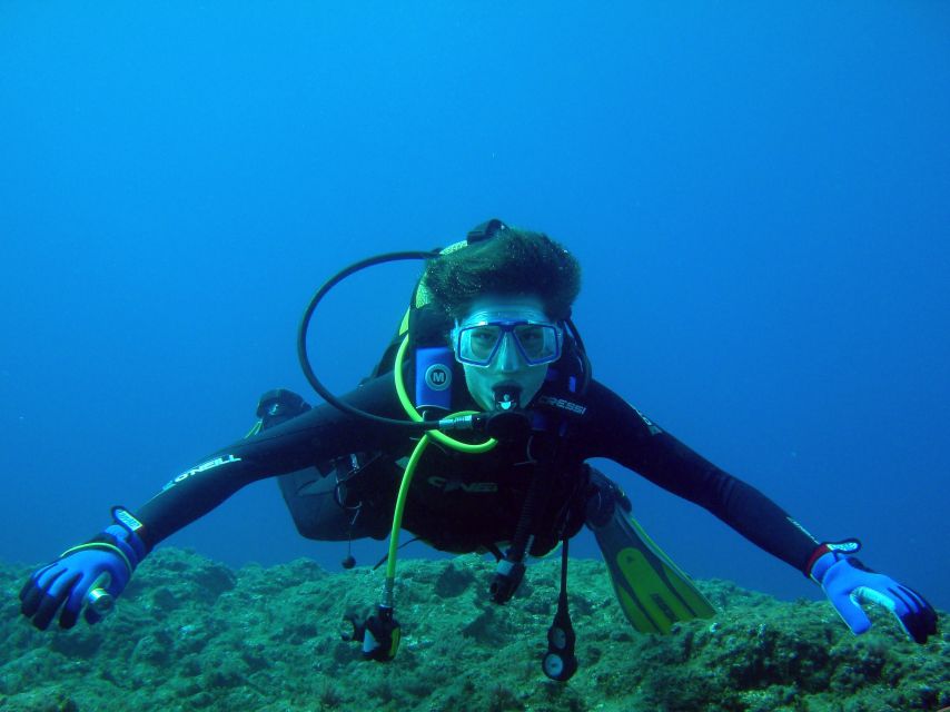 Vila Franca Do Campo: Introduction to Scuba Diving Tour - Starting at Marina de Vila Franca do Campo