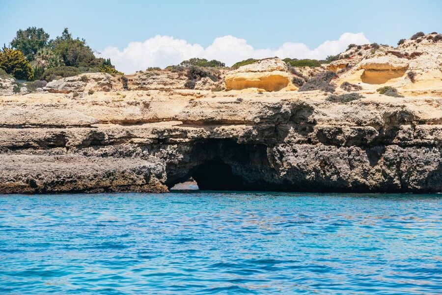Vilamoura: Benagil Cave Boat Tour with Entry - The Possible Dolphin Encounter