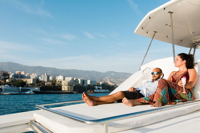 VipDolphins Luxury Whale Watching - The wildlife search off Madeira
