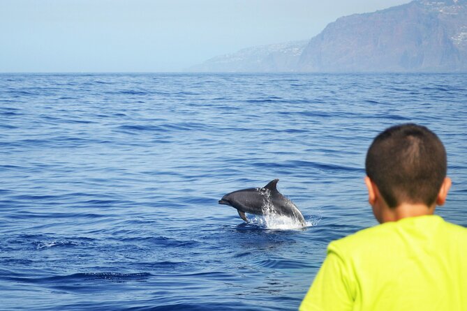 VipDolphins Luxury Whale Watching - Snacks, local treats, and open drinks