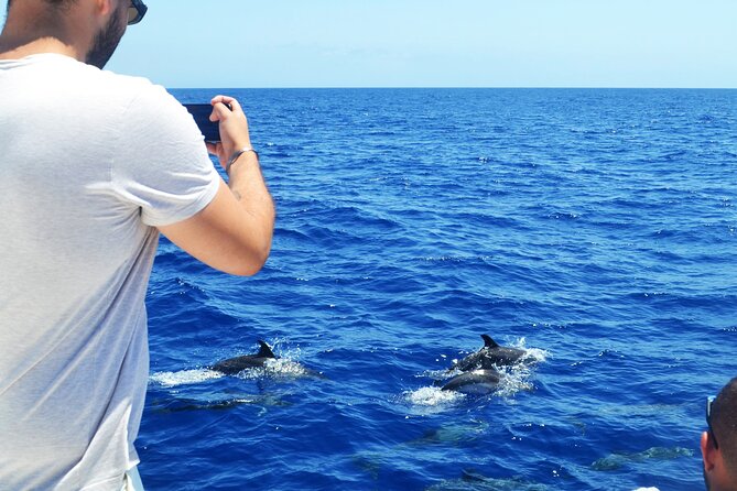 VipDolphins Luxury Whale Watching - The Cabo Girao swimming stop
