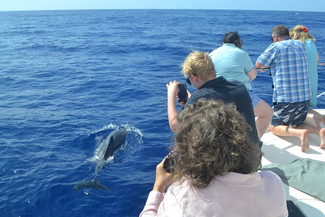 VipDolphins Luxury Whale Watching - Crew service and the tone on board