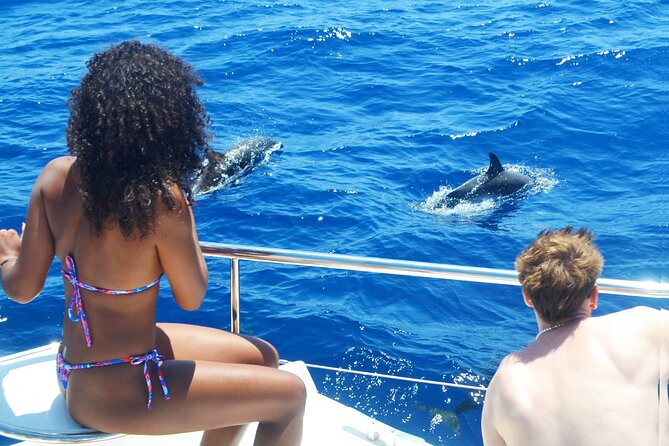 VipDolphins Luxury Whale Watching - Why the 17-person limit matters