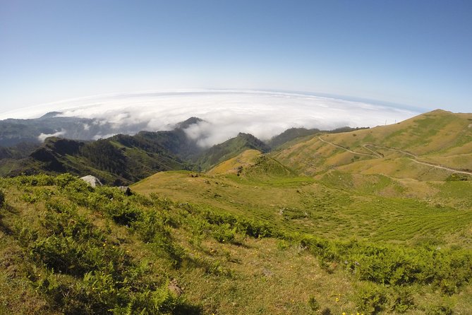 West Madeira 4x4 Tour with Local Guide - Fanal Forest brings the day’s quietest scenery