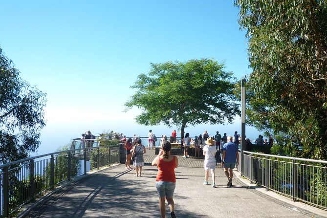 West Tour - Paul da Serra and the island’s open upland