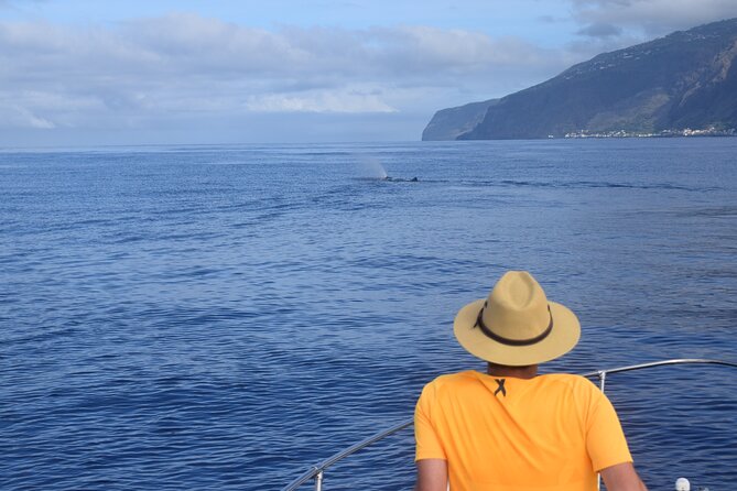 Whale and Dolphin Watching Tour in Madeira - Life on board Miranda