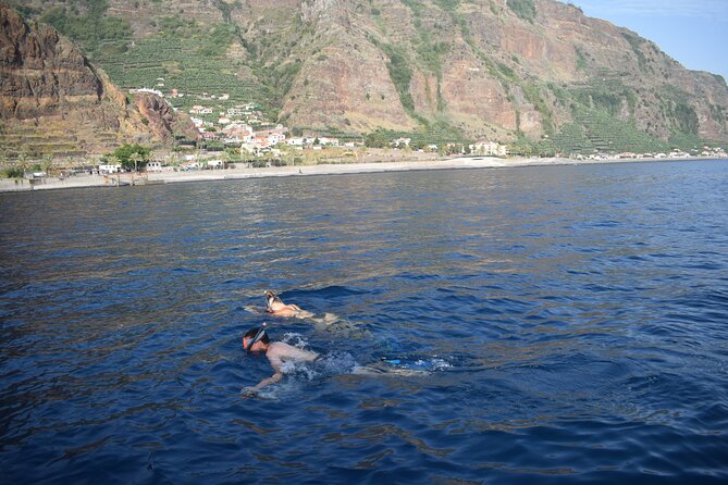 Whale and Dolphin Watching Tour in Madeira - Does $83.44 offer good value?